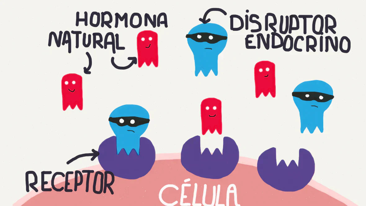 Cómo los disruptores endocrinos de tu champú afectan a tu testosterona
